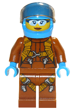 Arctic Plane / Quadcopter Pilot Female