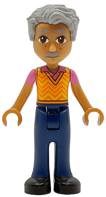 LEGO Friends Raj (frnd0797) Friends Minifigure