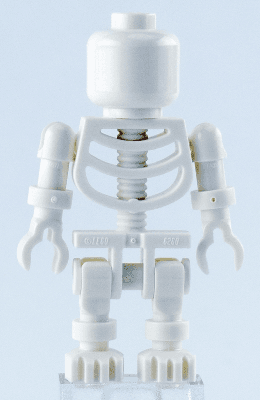Skeleton - Plain Head
