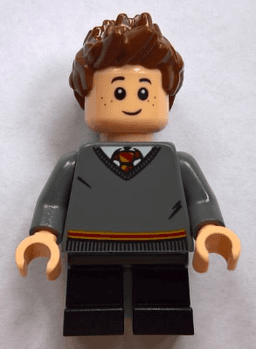 LEGO Seamus Finnigan (hp141) minifigure