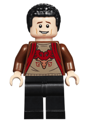LEGO Viktor Krum (hp177) Harry Potter Minifigure