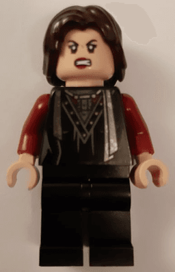 LEGO Nymphadora Tonks (hp210) minifigure