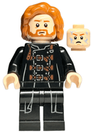 Dragomir Despard (Ron Weasley Transformation)