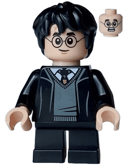 LEGO Harry Potter (hp470) minifigure