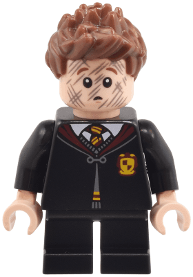 LEGO Seamus Finnigan (hp491) Harry Potter Minifigure