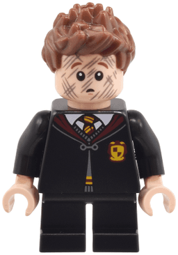 LEGO Seamus Finnigan (hp491) minifigure