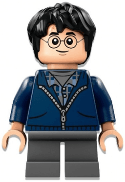 LEGO Harry Potter (hp495) minifigure