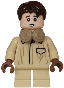 LEGO Neville Longbottom (hp569) minifigure