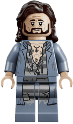LEGO Sirius Black (hp630) Harry Potter Minifigure