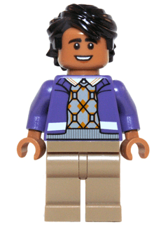 LEGO Raj Koothrappali (idea017) Twilight Minifigure