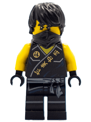 LEGO Cole (Tournament Robe) (njo0114a) Ninjago Minifigure