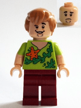 LEGO Shaggy Rogers (scd012) Scooby-Doo Minifigure