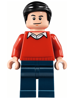 LEGO Dick Grayson (Classic) (sh0236) minifigure