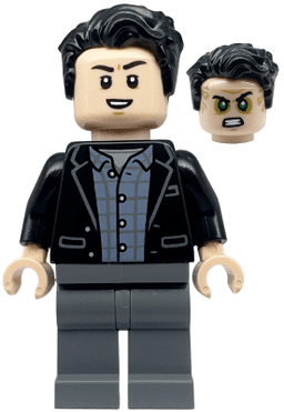 LEGO Bruce Banner (sh0854) minifigure