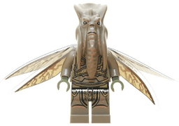 Poggle the Lesser