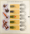 Sticker Sheet for Set 3144 - (22318/4125319)