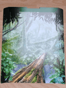 Paper Cardboard Backdrop for Set 8113