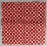 Cloth Picnic Tablecloth / Blanket with Red Checkered Pattern