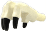 Dinosaur Foot Front (Manus) with Black Claws Pattern