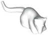 Rat / Mouse