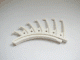Bionicle Rahkshi Back Blade, 7 pointed (Guurahk)