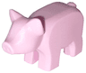 Pig, Baby Piglet