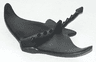 Ray / Stingray