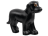 Dog, Belville, Standing with Orange Eyes and Eyebrows and White Nose Pattern