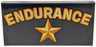 Tile 2 x 4 with Gold and Dark Orange 'ENDURANCE' and Star Pattern