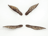 Minifigure Wings Insect Extended with Neck Holes with SW Geonosian Warrior Pattern
