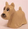 Dog, Terrier Scottish (Scottie) with Dark Tan Eyes, Eyebrows, and Muzzle and Black Nose Pattern