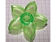 Duplo, Plant Flower with Stud