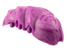 Bionicle Rahkshi Kraata Stage 1 with Marbled Pattern (list head color, describe the rest)