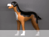 Dog, Scala with Black Back and Nose, White Chest, Feet, and Muzzle Pattern (Sita)