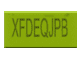 Tile 1 x 2 with 'XFxxxxxx' Exo-Code Pattern