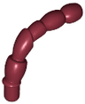 Antenna, Insect