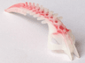 Bionicle Mask Crast with Marbled Red Pattern