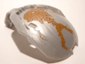 Bionicle Bohrok Windscreen 4 x 5 x 7 with Brown Scales and Pahrak-Kal Logo Pattern