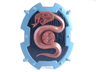 Large Figure Shield, 2 x 2 Brick Relief, Snake with Black and Sand Blue Pattern