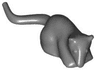 Rat / Mouse
