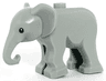 Elephant, Baby with Black Eyes and White Pupils Pattern