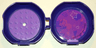 Container, Pod with Medium Lavender 6 x 6 Round Plate and Medium Lavender 1 x 2 Plate with Friends Pattern (Stickers) - Set 5005236