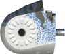 Dinosaur Body Quarter with Pins with Black, Dark Gray, Red, and Sand Blue Markings Pattern