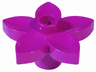 Duplo, Plant Flower with Stud