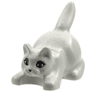 Cat, Crouching with Black Eyes, Eyelashes and Nose Pattern