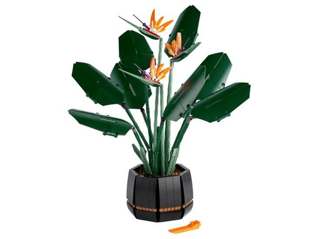 LEGO Bird of Paradise (10289-1) set, 2021