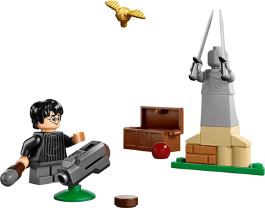 Quidditch Lesson paper bag / polybag