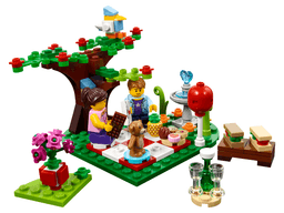 Romantic Valentine Picnic
