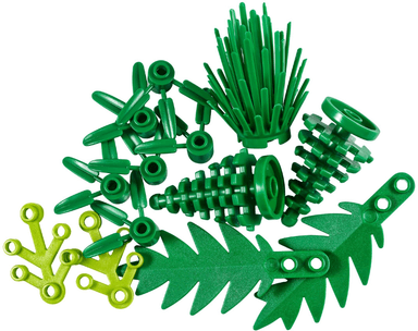 Plants from Plants {Reissue}