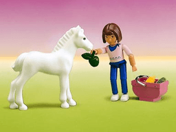 LEGO Jennifer and Foal {Undetermined Packaging} (5822-3) set